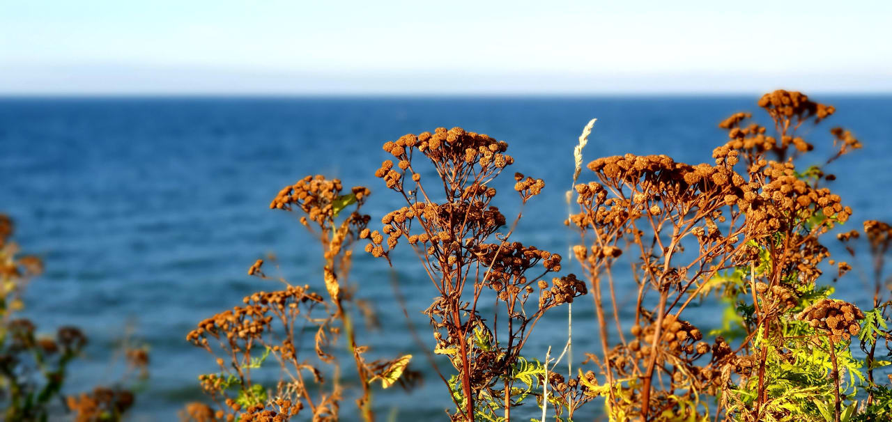 Strand Ferienwohnungen Ferienpark Weissenhäuser Strand