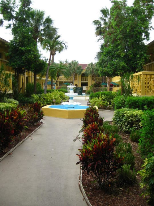 Garten mit tropischen Pflanzen Hotel La Quinta Inn St Petersburg