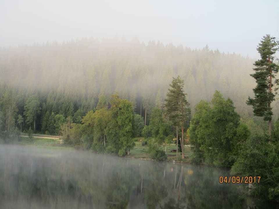 Ausblick Köhlerei am See