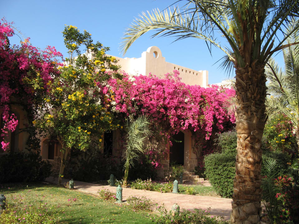 Unterkunft Dream Lagoon Resort & Aqua Park