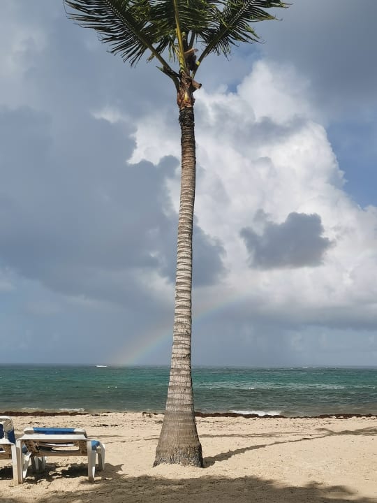 Strand Hotel Riu Palace Punta Cana