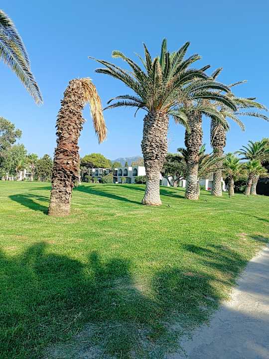 Gartenanlage Caravia Beach Hotel