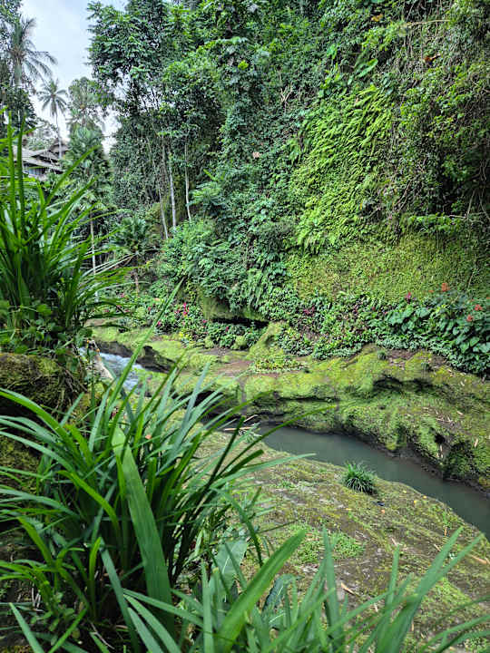 Ausblick Hotel Tjampuhan