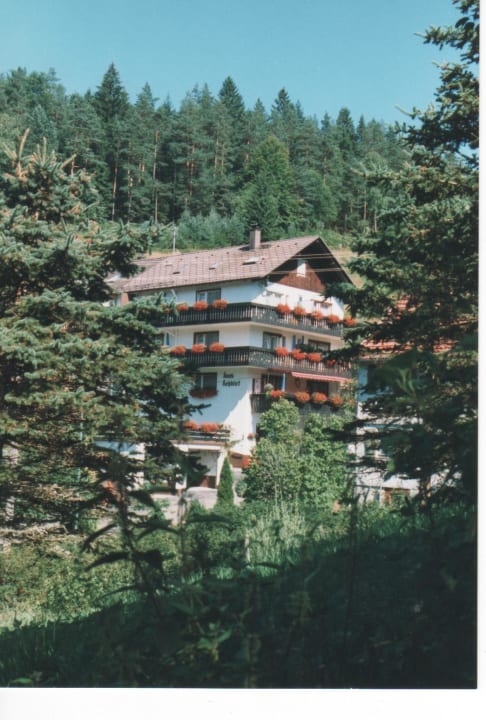 Blick vom Wald Pension Rehblick