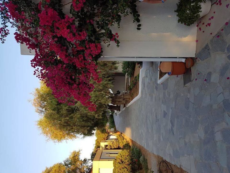 Gartenanlage sehr gepflegt Knossos Beach Bungalows Suites Resort & Spa