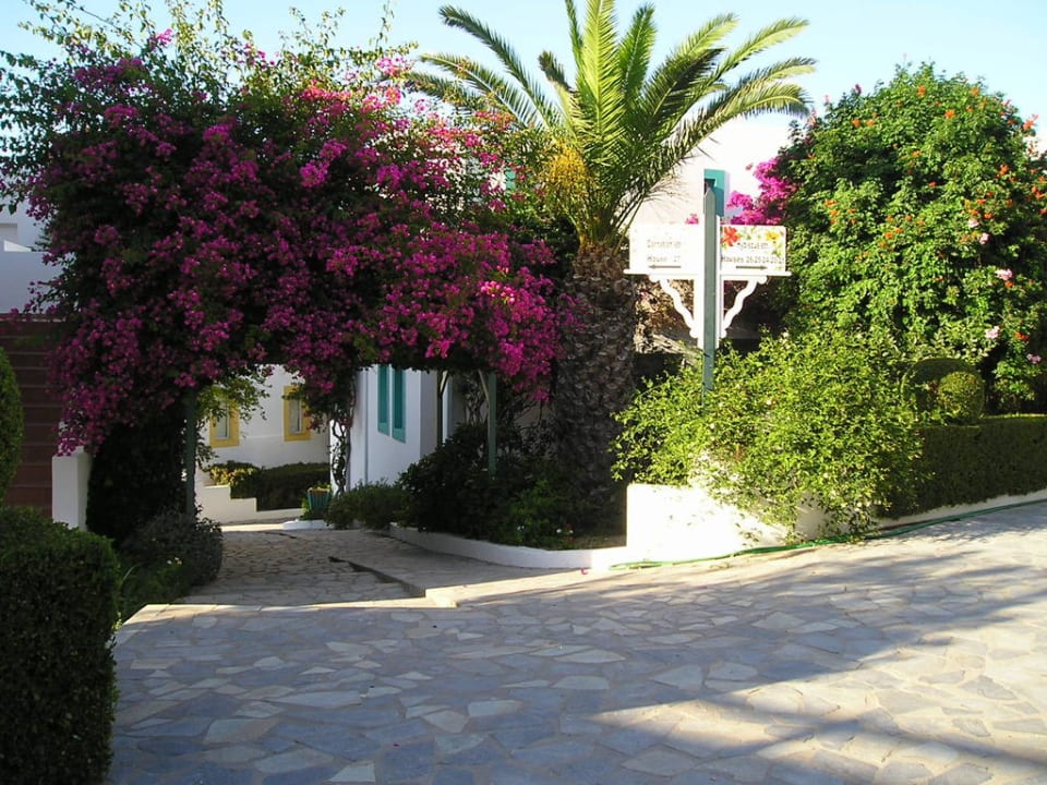 Aussenanlage Mastichari Bay Hotel
