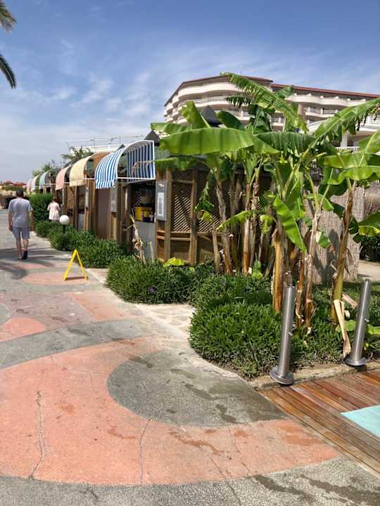 Außenansicht Starlight Resort Hotel