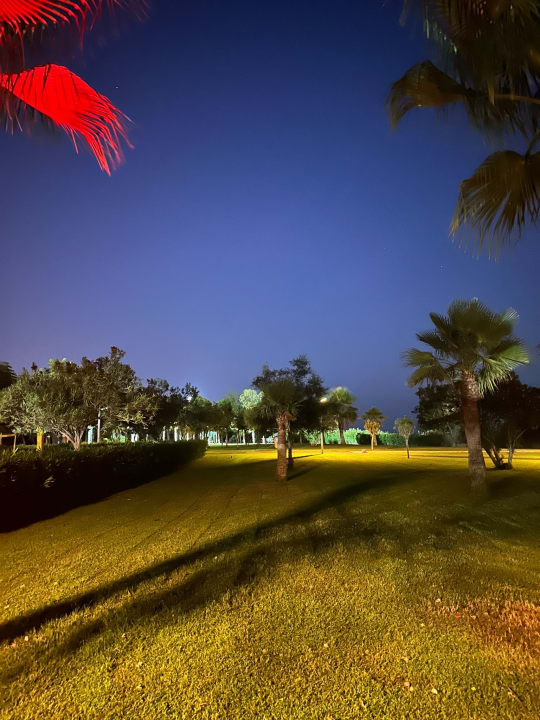 Außenansicht TUI MAGIC LIFE Jacaranda