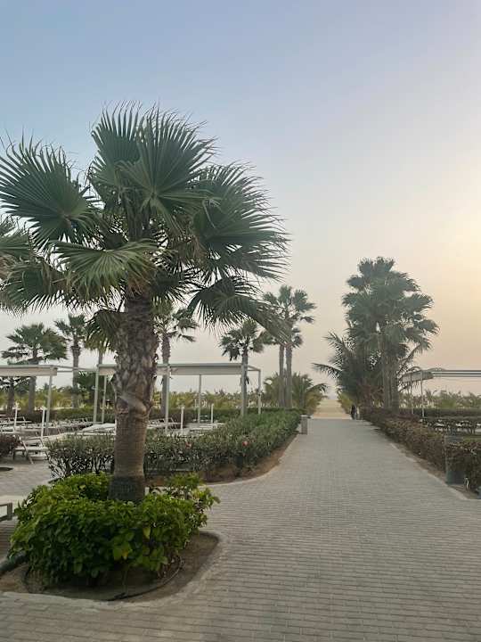 Pool Hotel Riu Palace Santa Maria