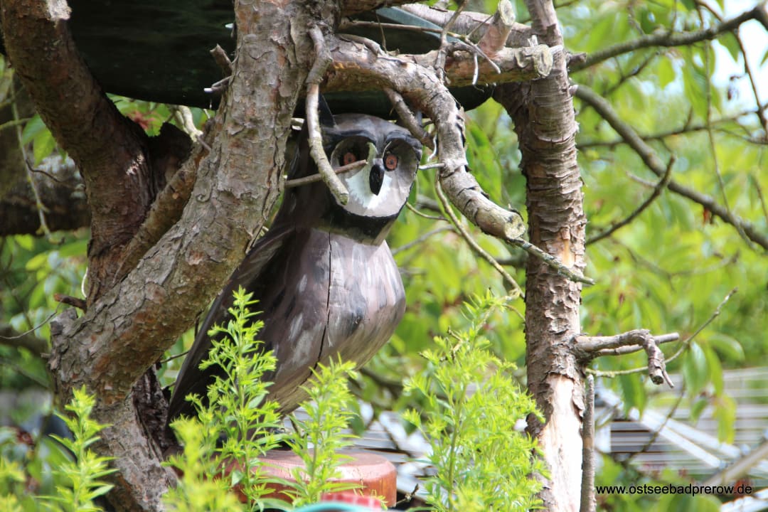 Gartenanlage Ferienwohnungen Fründt