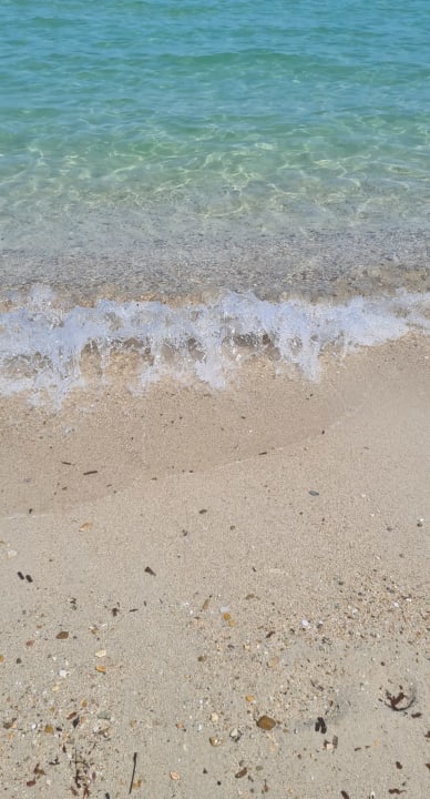 Strand Ammon Zeus Luxury Beach Hotel