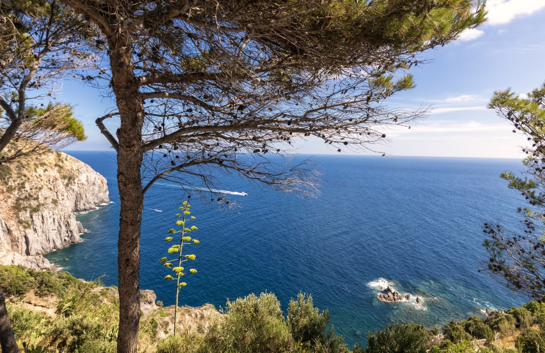 Ausblick Hotel Grazia alla Scannella