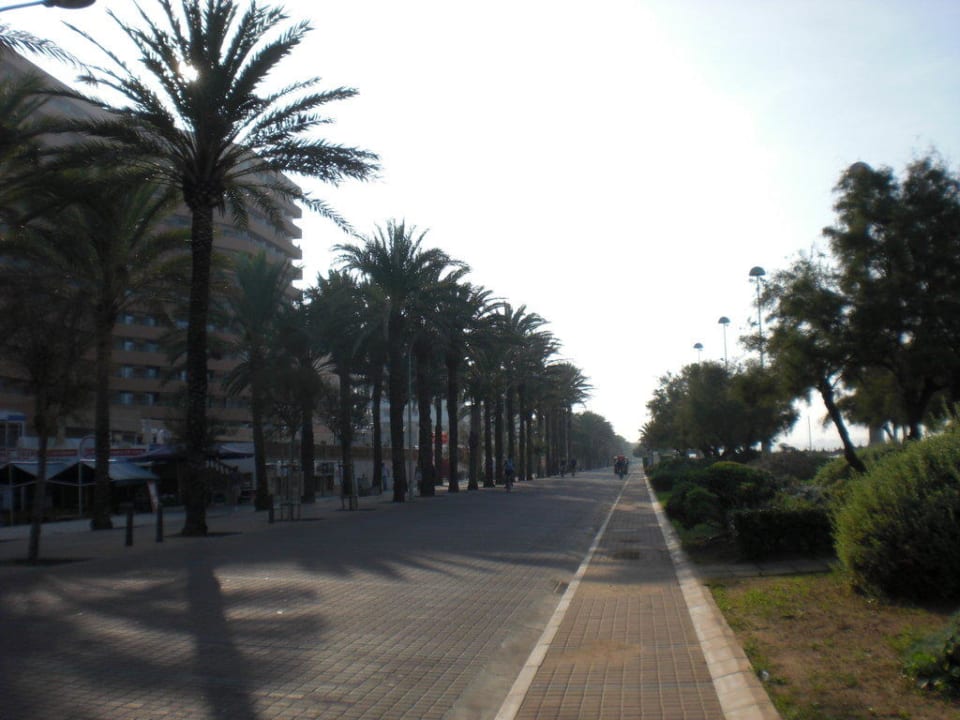 Promenade HM Tropical