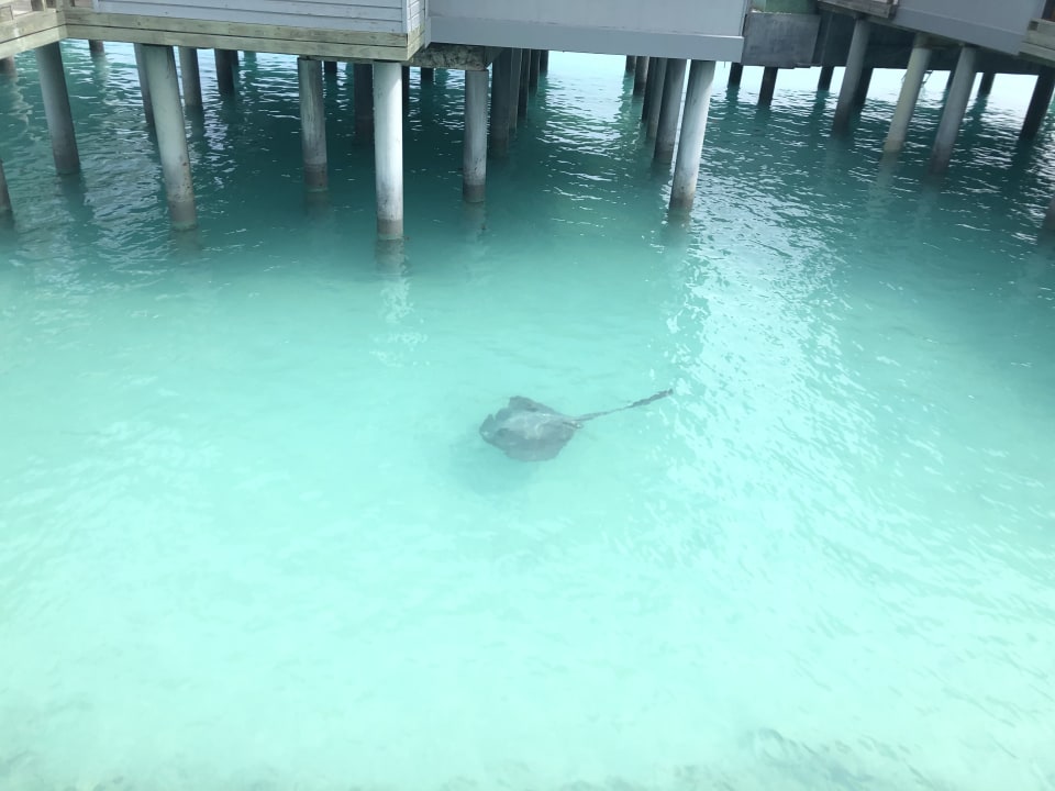 Ausblick Kuramathi Maldives