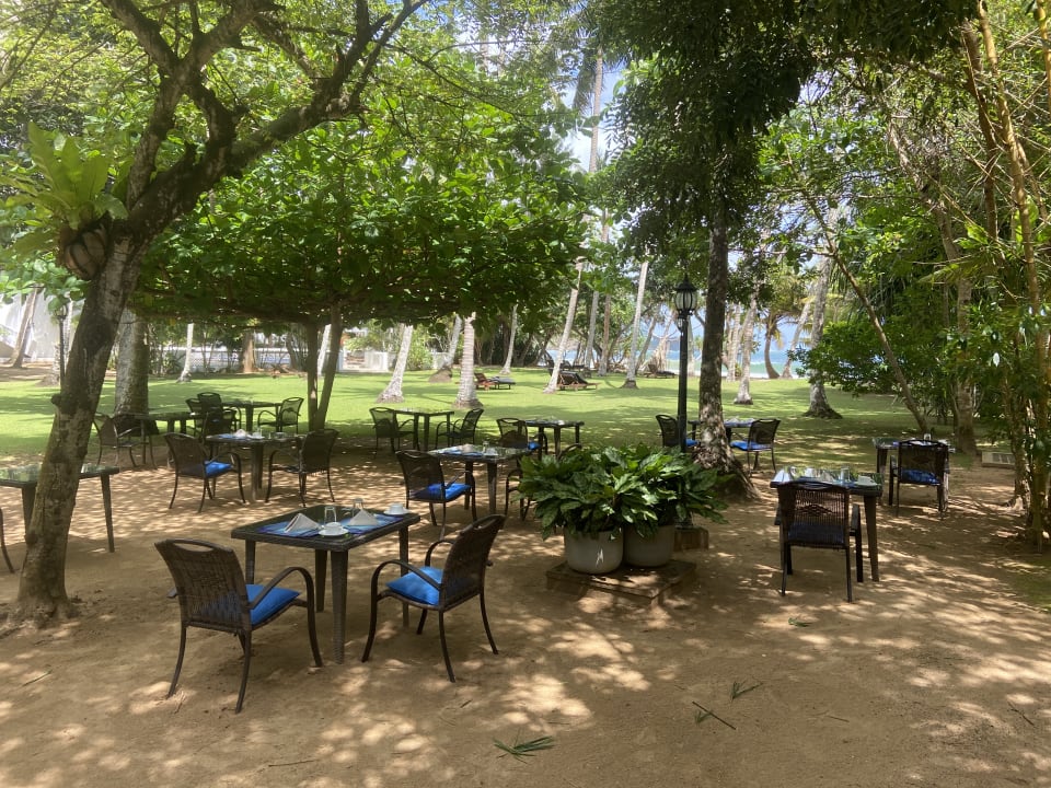 Gastro Surya Lanka Ayurveda Beach Resort