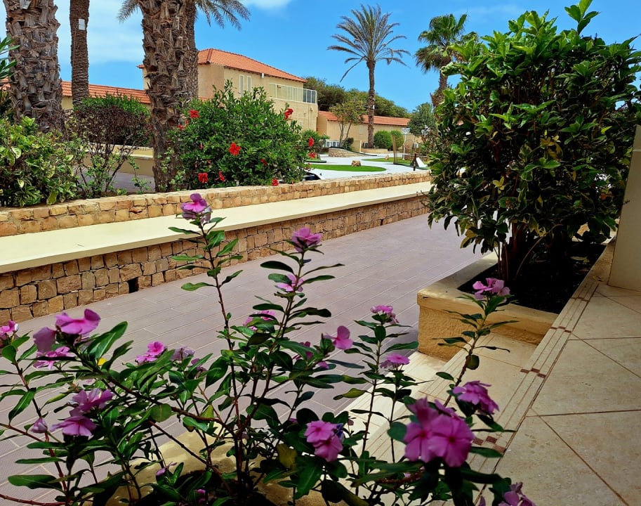 Gartenanlage Hotel Morabeza