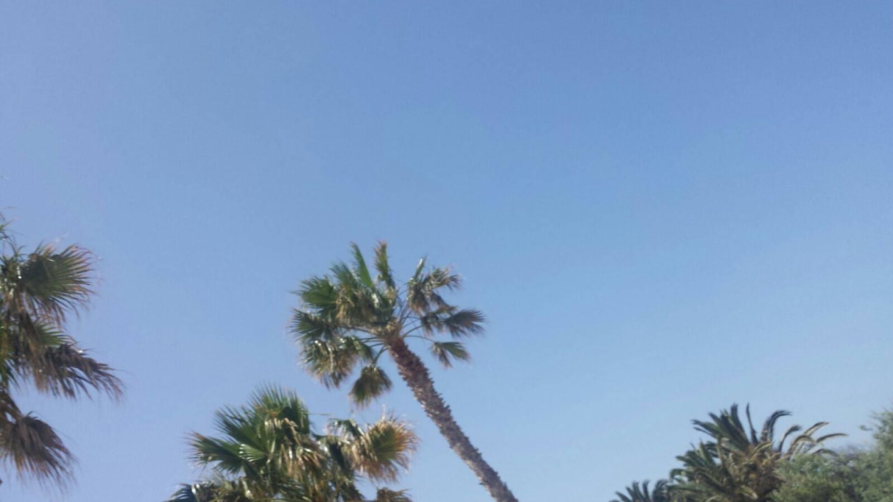 Tolle Anlage  Caravia Beach Hotel