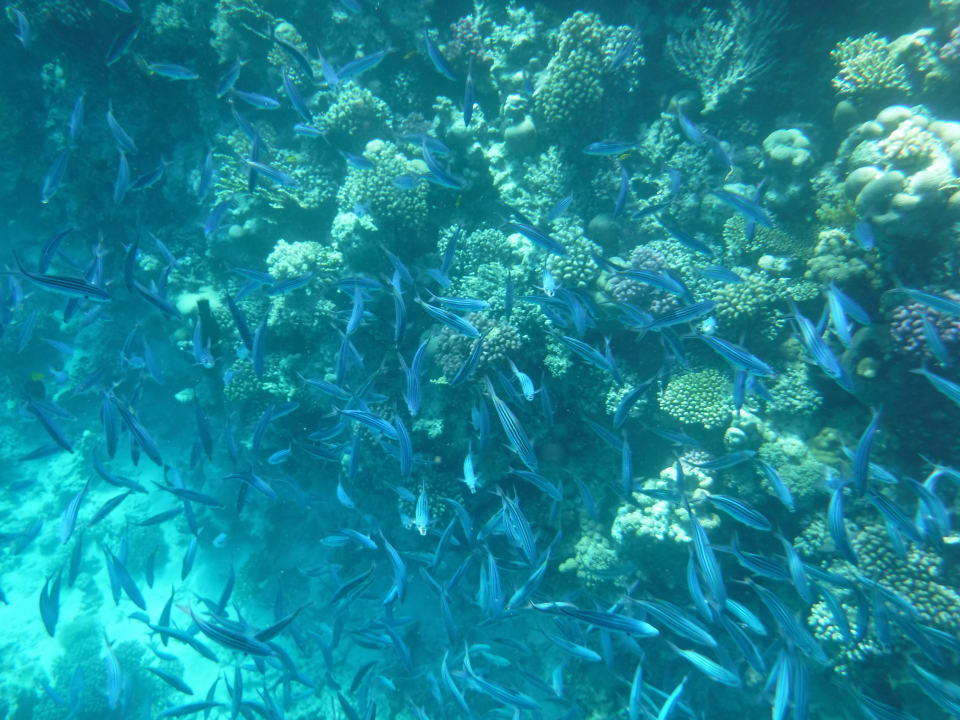 Strand Casa Mare Resort