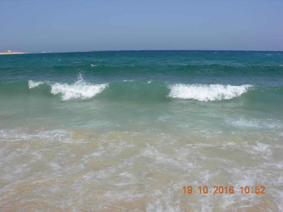 Morze Czerwone Malikia Resort Abu Dabbab