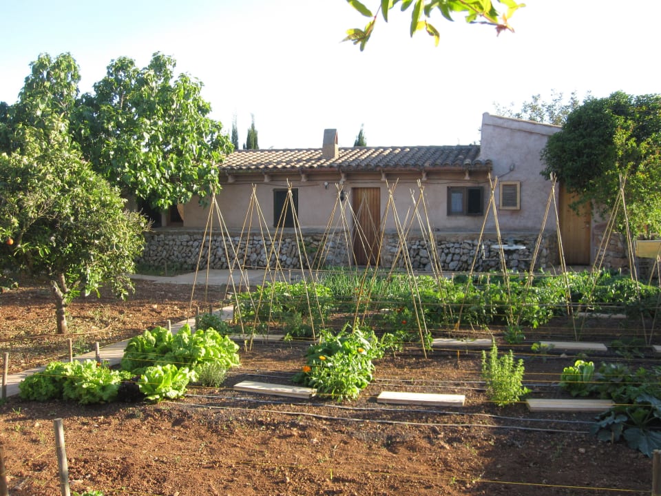 Der Gemüsegarten Agroturismo s'Horabaixa