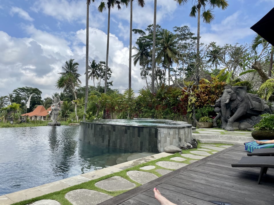 Pool Anumana Village Ubud