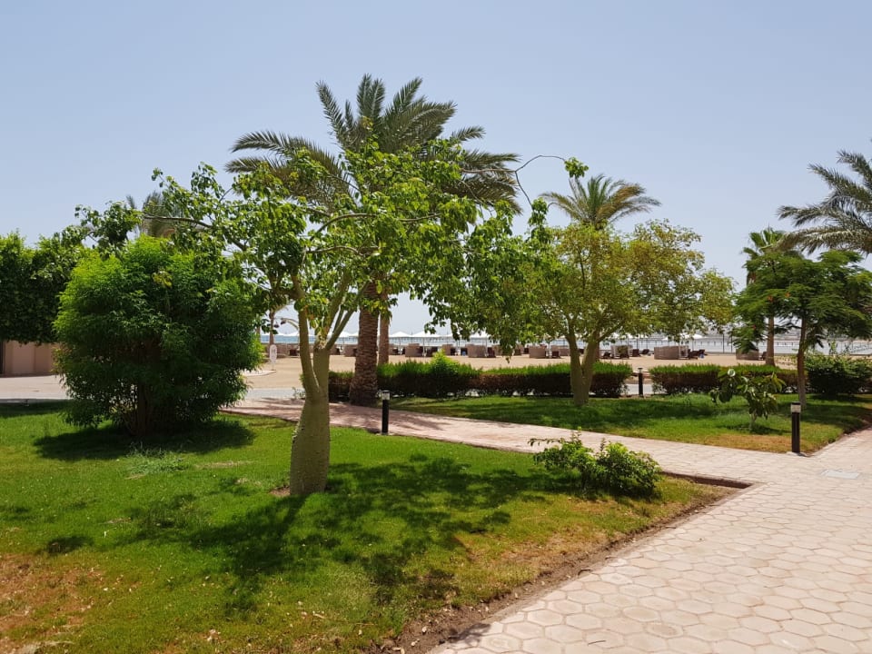 Ausblick Pharaoh Azur Resort