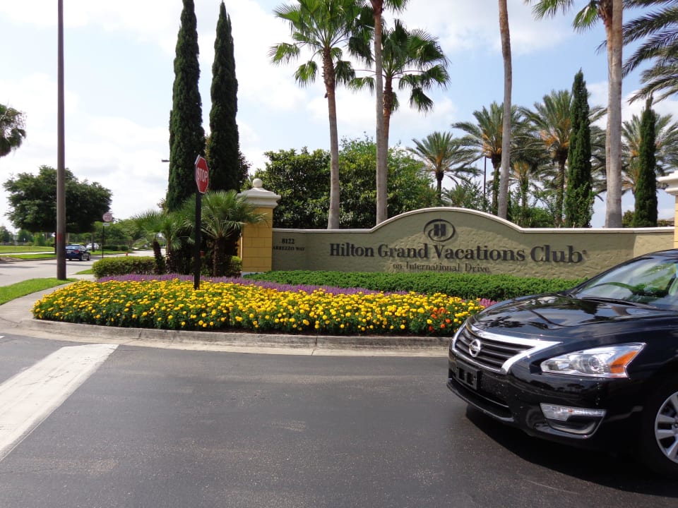Zufahrt Hotel Hilton Grand Vacations Club on International Drive