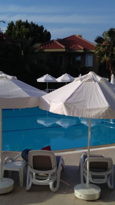 Nur kleiner Ausschnitt Club Dizalya