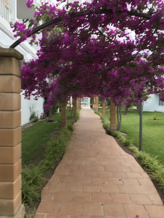 Gartenanlage Alcudia Garden Aparthotel