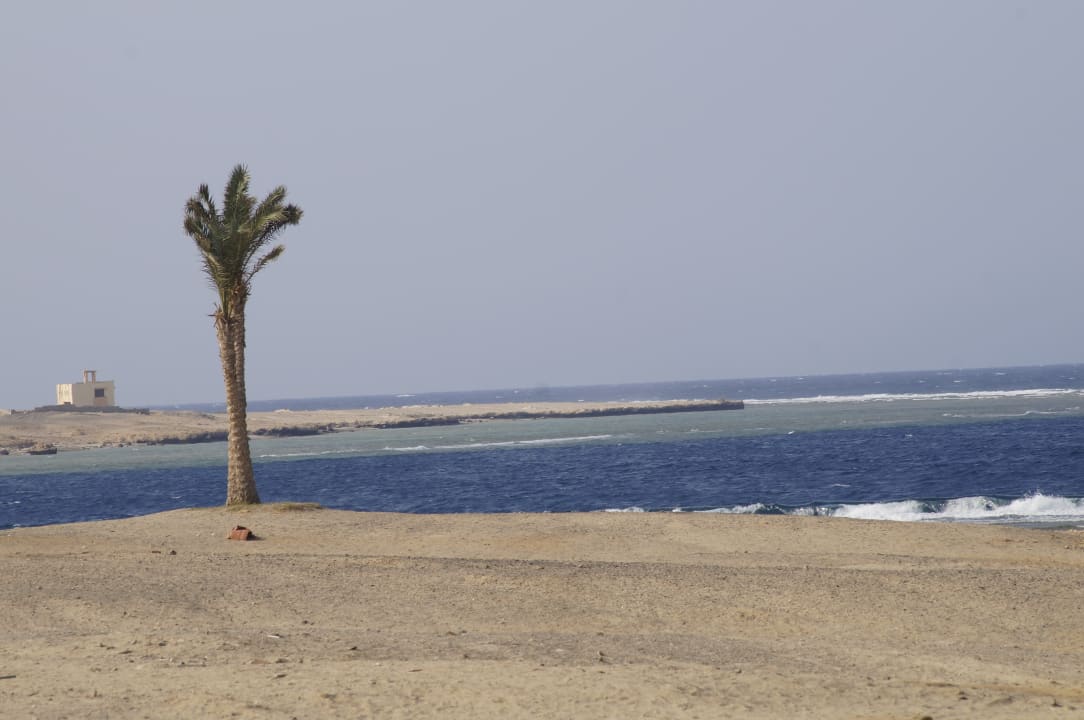 Strand Malikia Resort Abu Dabbab