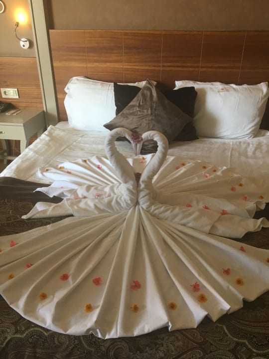 Zimmer Well Palace Side