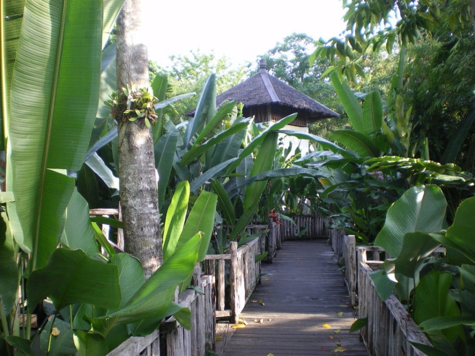 "Steganlage" zwischen den Villen Aana Resort