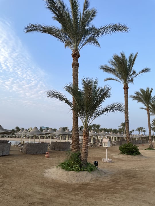 Strand Steigenberger Coraya Beach - Adults only