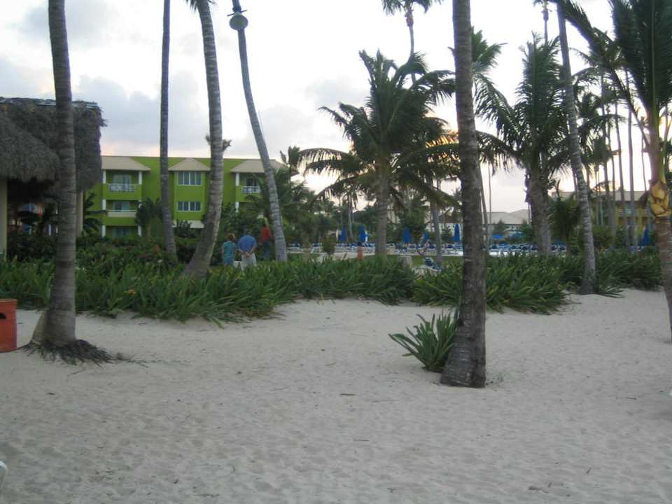 Hotel Grand Paradise Bavaro Royalton Splash Punta Cana