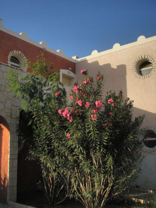 Bungalow Occidental Boa Vista Beach