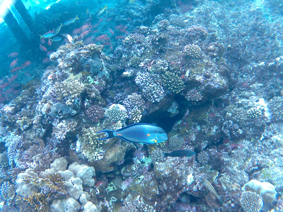 Strand Casa Mare Resort