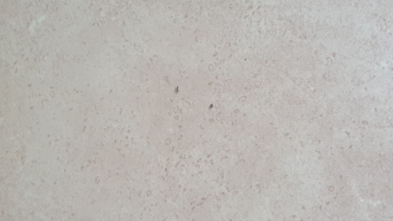 Gastro Flamingo Grand Hotel & Spa