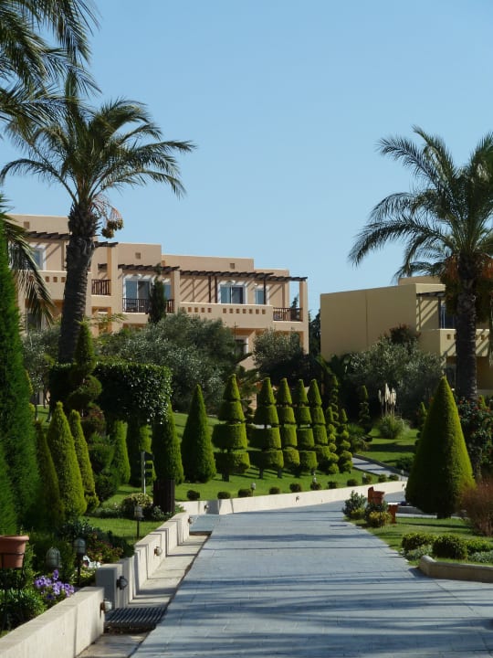 Koniferenkegel säumen den Weg Hotel Horizon Beach Resort