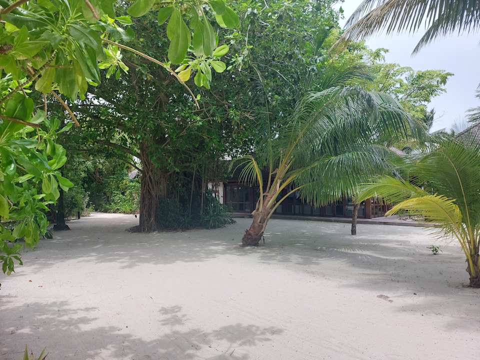 Außenansicht Vilamendhoo Island Resort & Spa