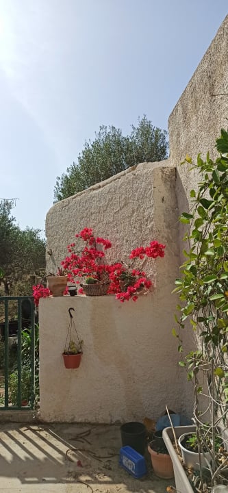 Außenansicht l'Araucaria casa vacanze