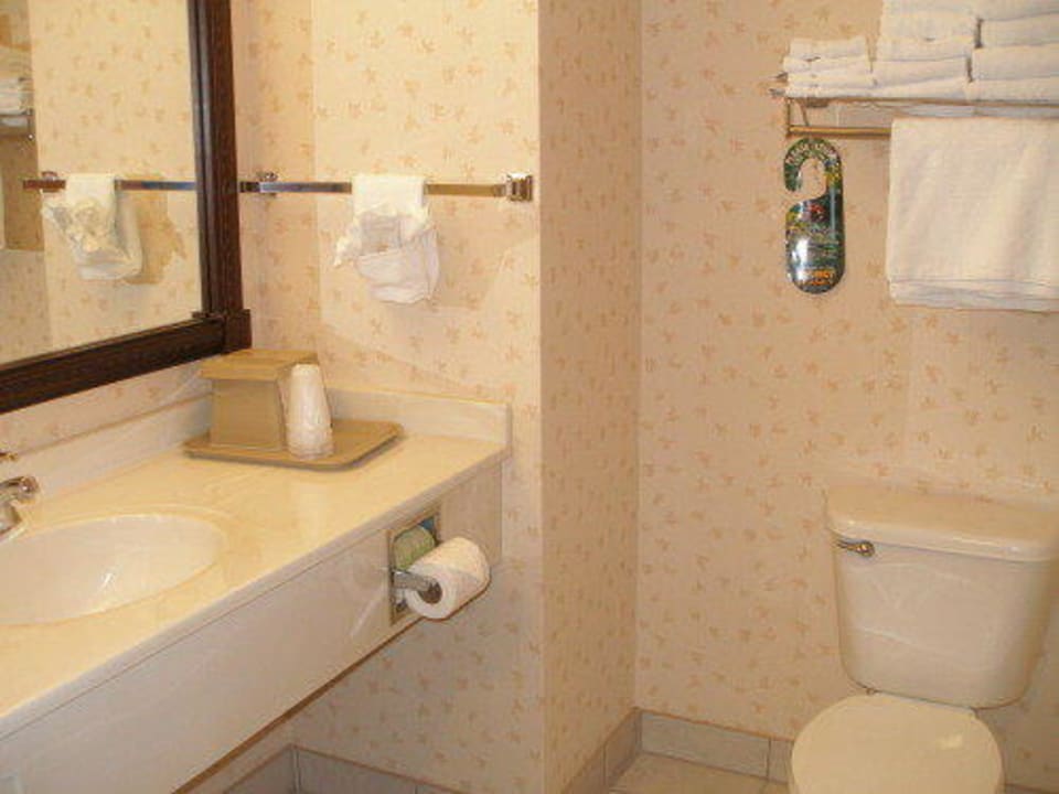 Badezimmer Comfort Inn & Suites Custer