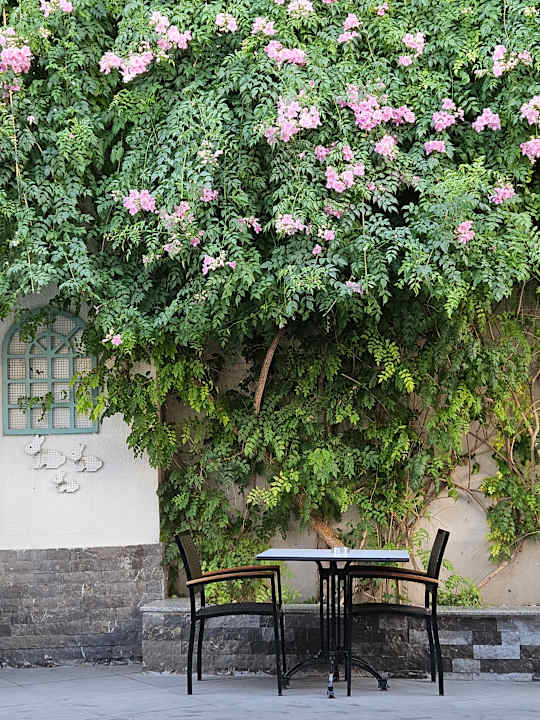 Gartenanlage Hane Family Resort