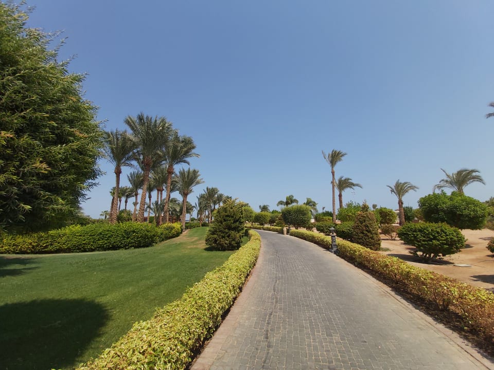 Gartenanlage Steigenberger ALDAU Beach Hotel