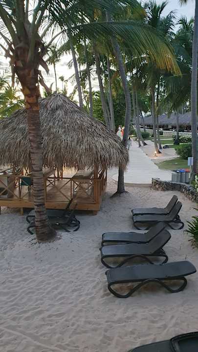 Gartenanlage Hotel Viva Dominicus Beach by Wyndham - All Inclusive Resort