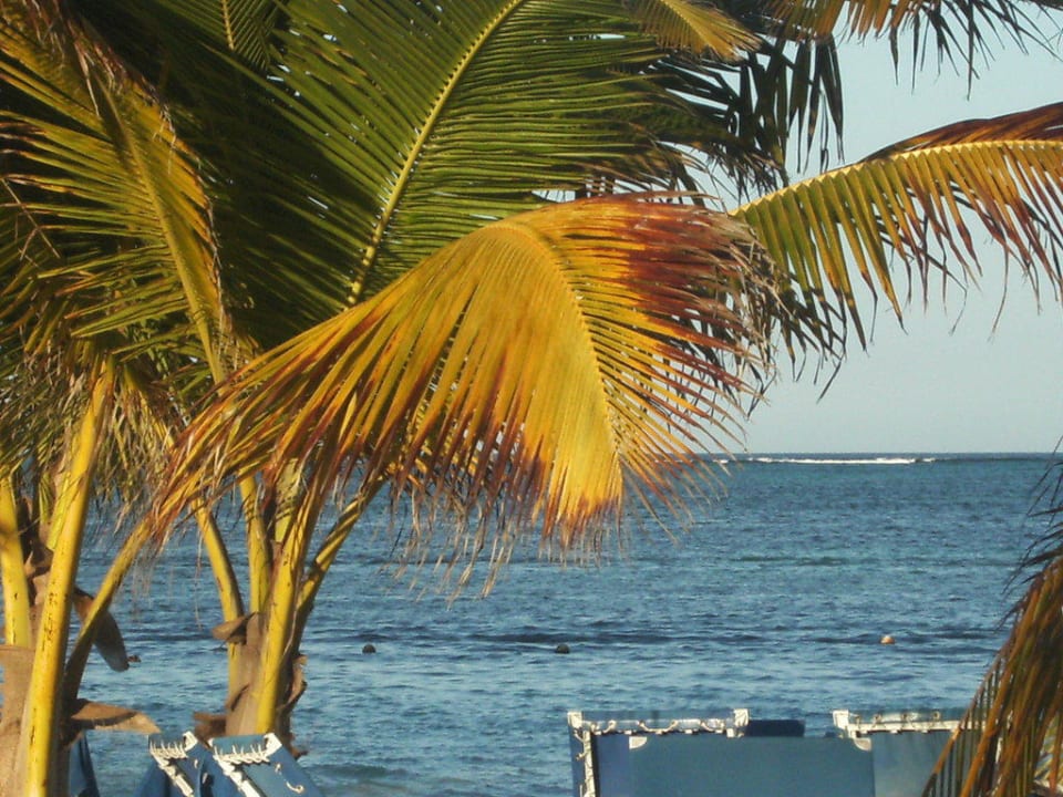 Traumstrand Villas Bavaro Resort & Spa