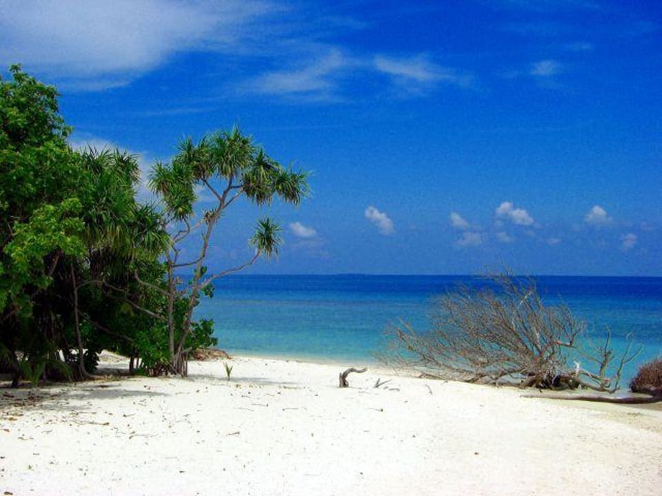 Strand auf der Nordseite Kuredu Island Resort & Spa