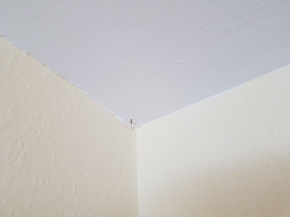 Zimmer Ferienwohnungen Ferienpark Weissenhäuser Strand