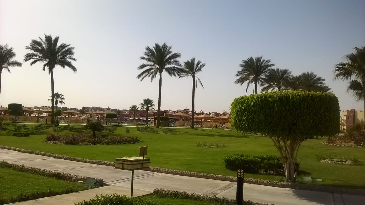 Gartenanlage SUNRISE Royal Makadi Resort