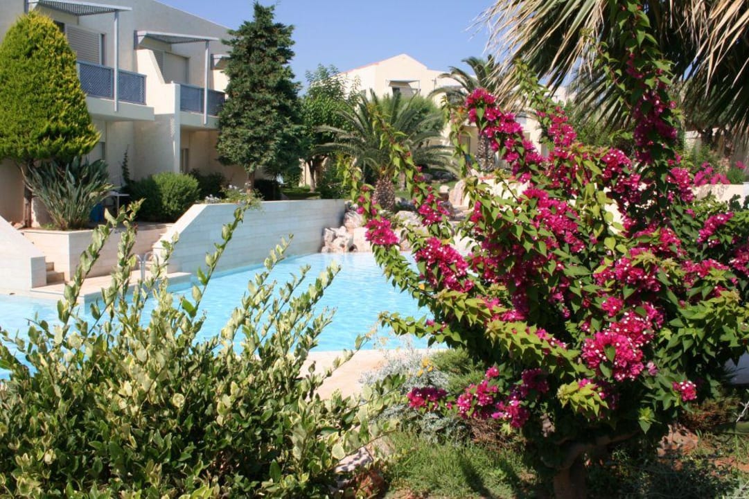 Pool Phãea Cretan Malia