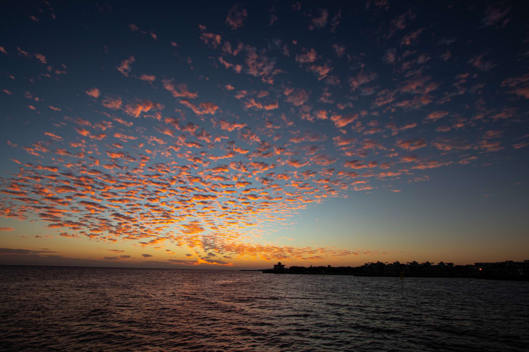 Ausblick Desert Rose
